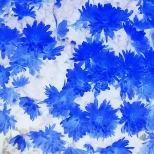 Meet your Posher, Paige